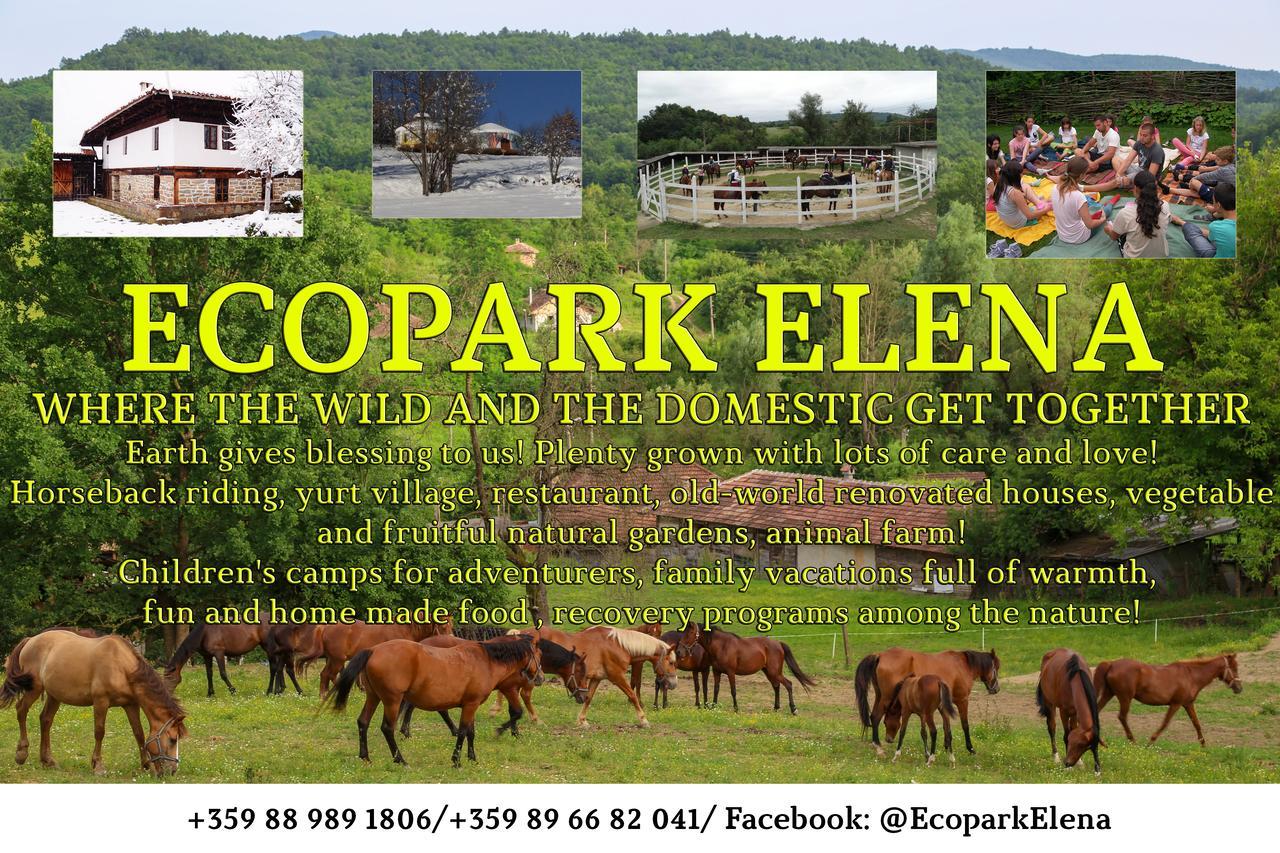 Hôtel Ecopark Elena Extérieur photo