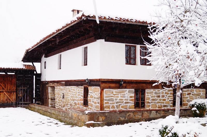 Hôtel Ecopark Elena Extérieur photo