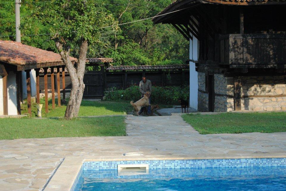 Hôtel Ecopark Elena Extérieur photo