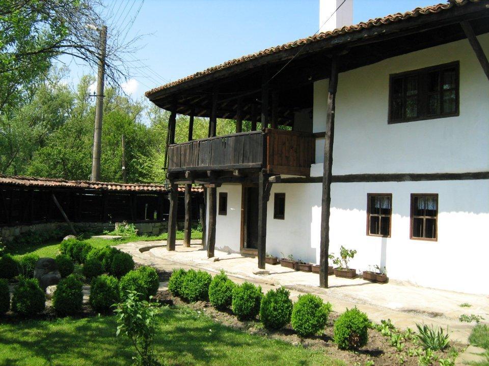 Hôtel Ecopark Elena Extérieur photo