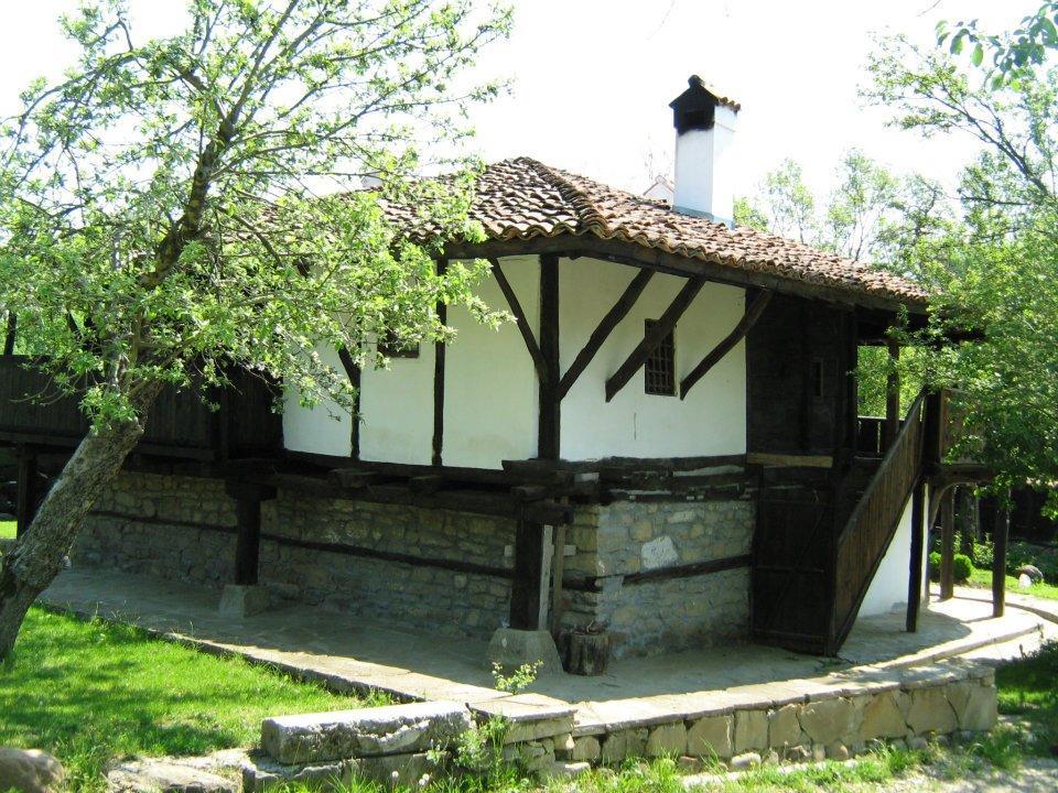Hôtel Ecopark Elena Extérieur photo